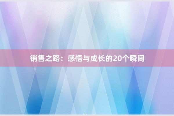 销售之路：感悟与成长的20个瞬间